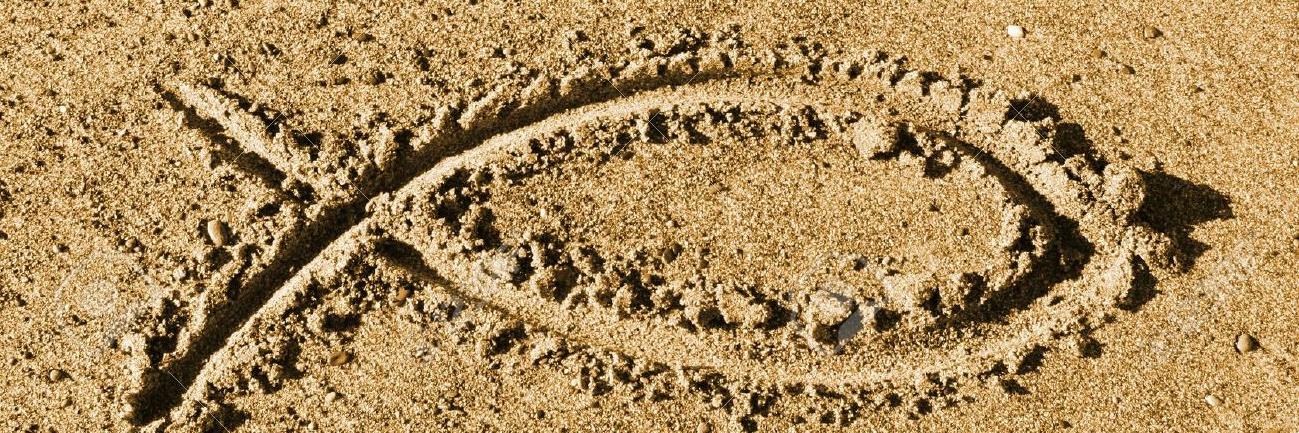 Floridian 🐊🇺🇸 FA/FO banner