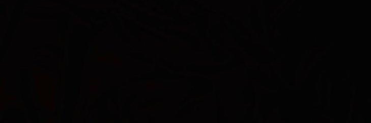 Dr Tolstoyevski banner