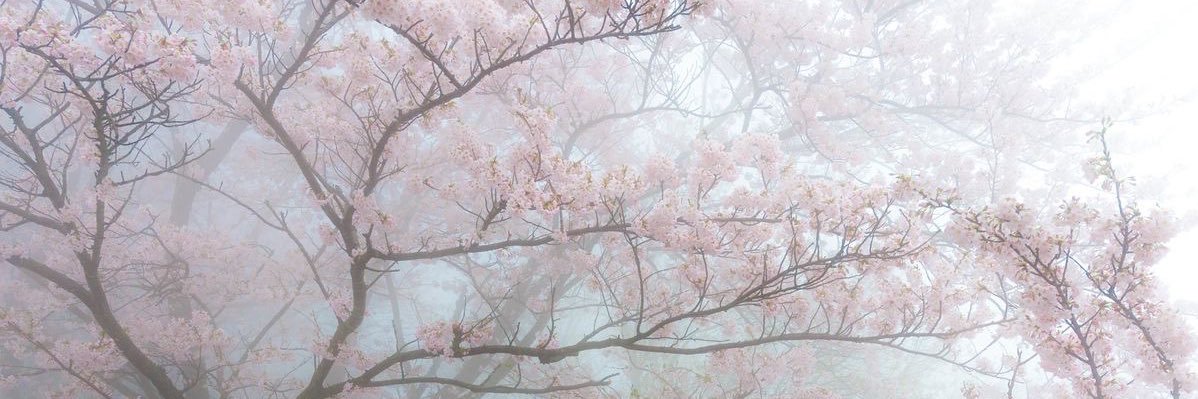 Droxgaz's profile banner image