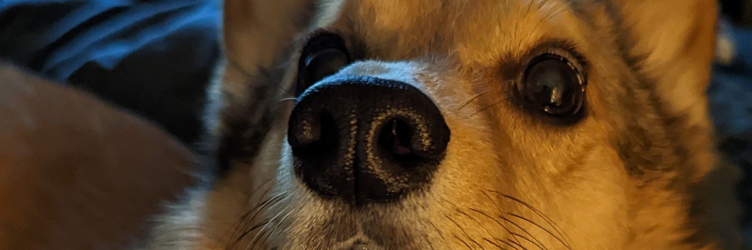 Kyanilis's profile banner image
