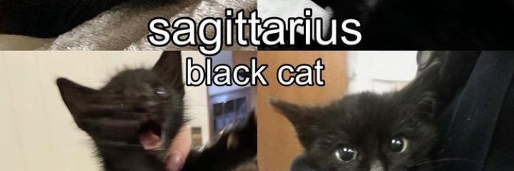 ebaygremlin's profile banner image