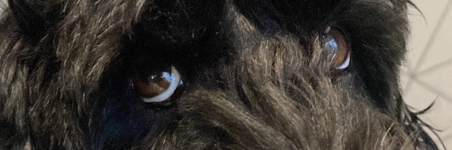 TiffanyannHowa4's profile banner image