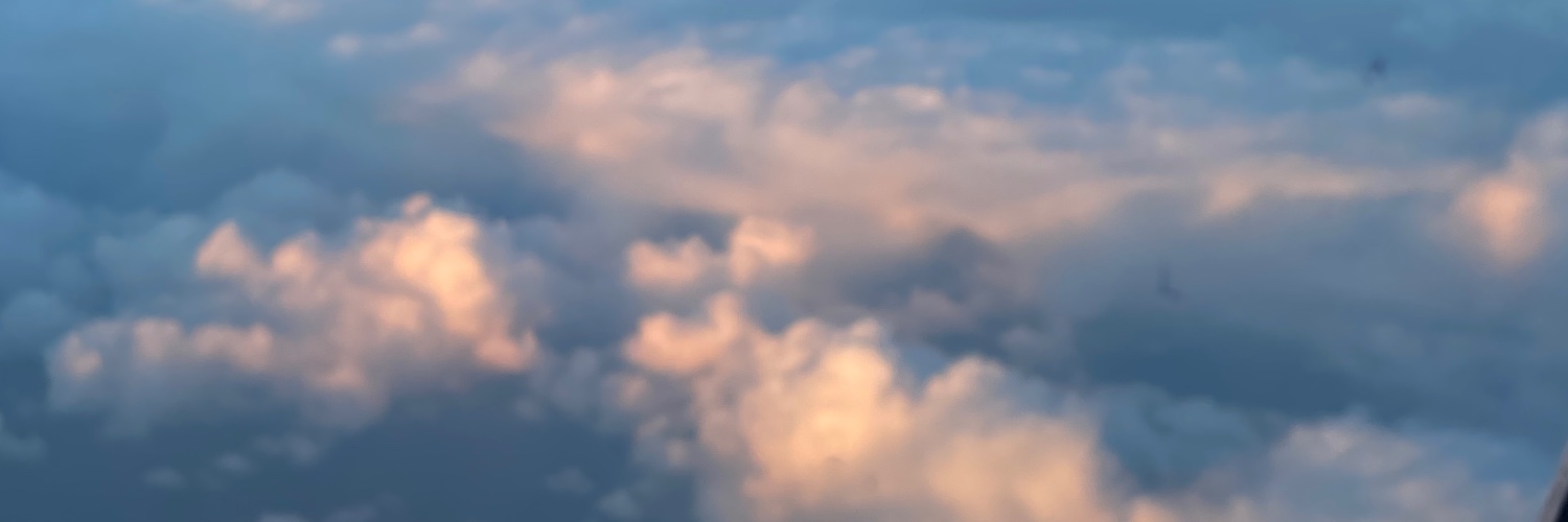chessipay's profile banner image