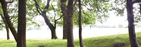 MarkPEdge Profile Banner