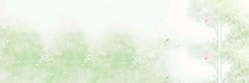 noahhmoon's profile banner image