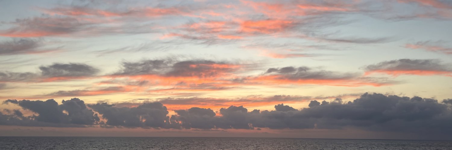ersatzkat's profile banner image