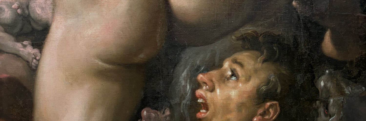 NoseDildos's profile banner image