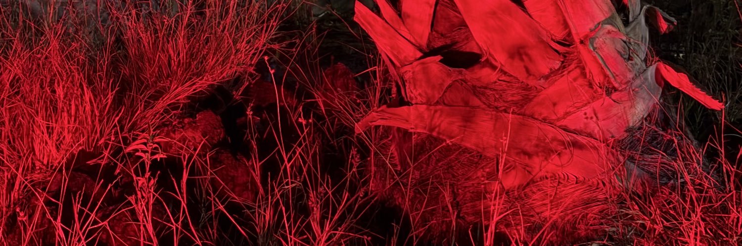 . banner
