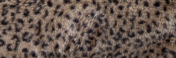 demidangerx Profile Banner