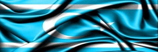 serkozen's profile banner image