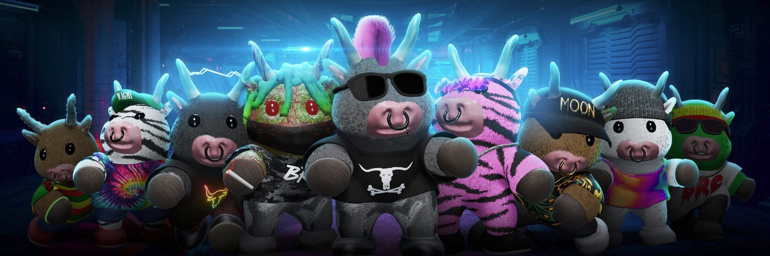 Bull Run Crew banner