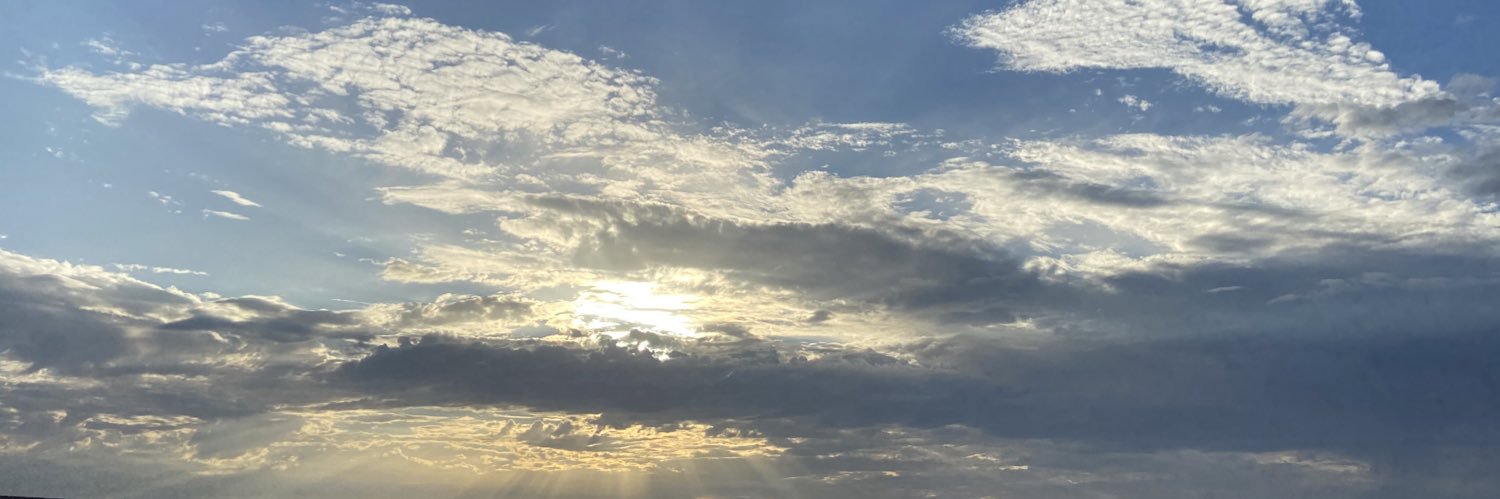 NFTpeter banner