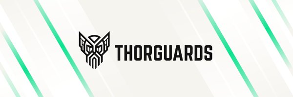 THORGuards Profile Banner