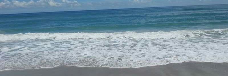 Rachel McMahon banner