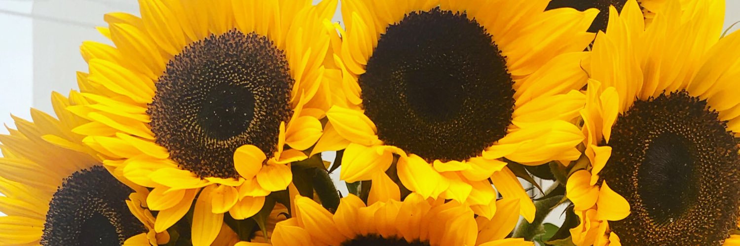aftg97's profile banner image