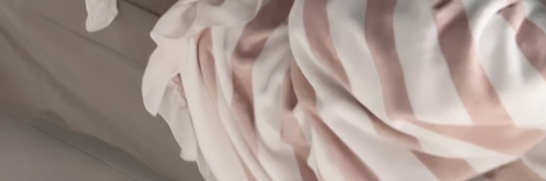 🕊️ banner