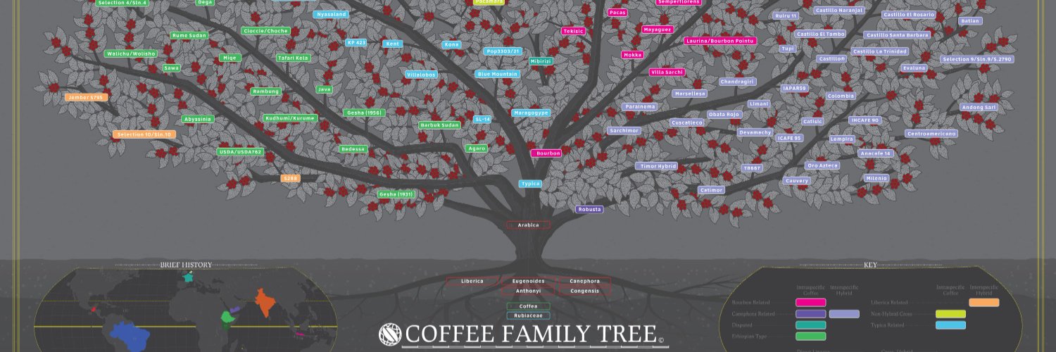 Geooooorge banner