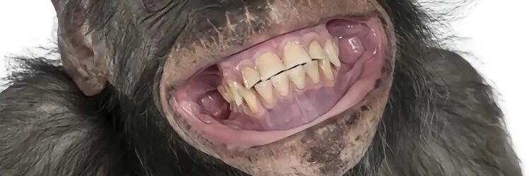 大屁股老婆 banner