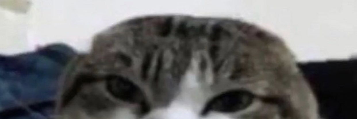 MunkhtulgaD2's profile banner image