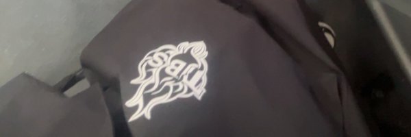 swiftnn_ Profile Banner