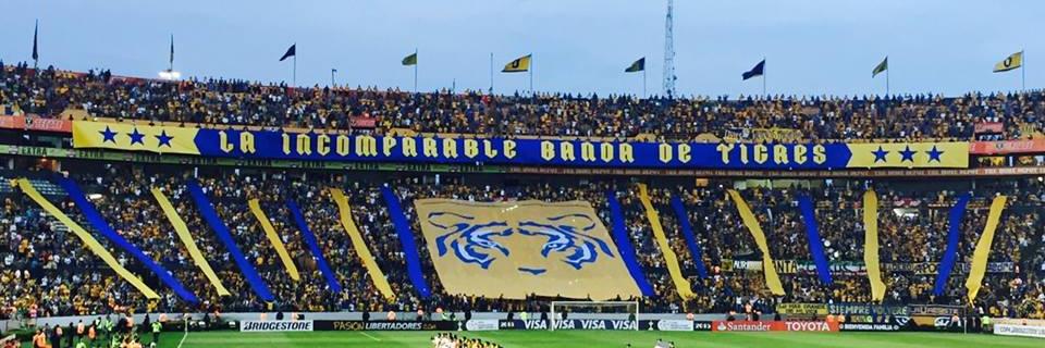 arquitigre's profile banner image