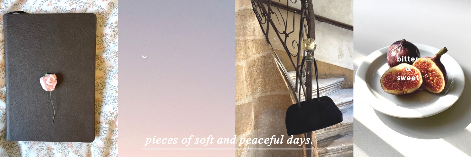 naya⋆.˚✰ banner