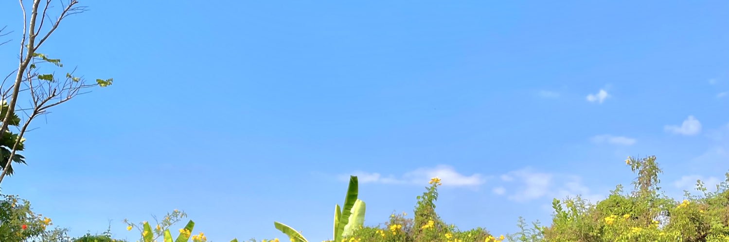 อังเปา banner