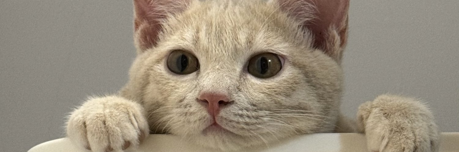 yenz1007's profile banner image