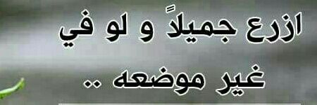 am_lamisg's profile banner image