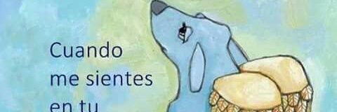 lapirada22's profile banner image