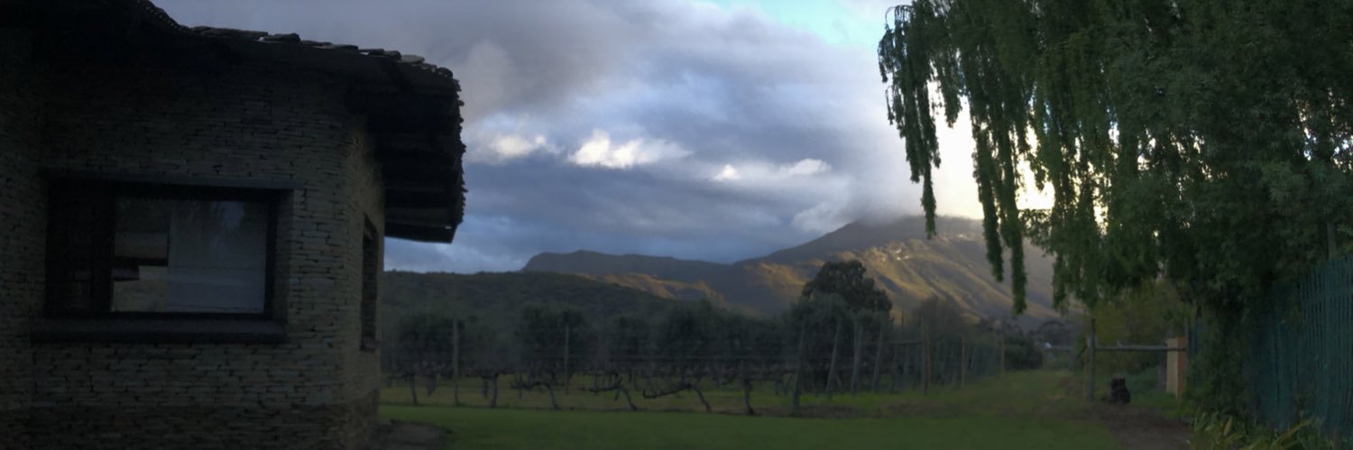 idale's profile banner image