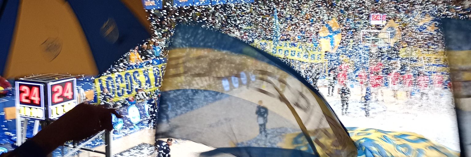 yani 🇸🇪 banner