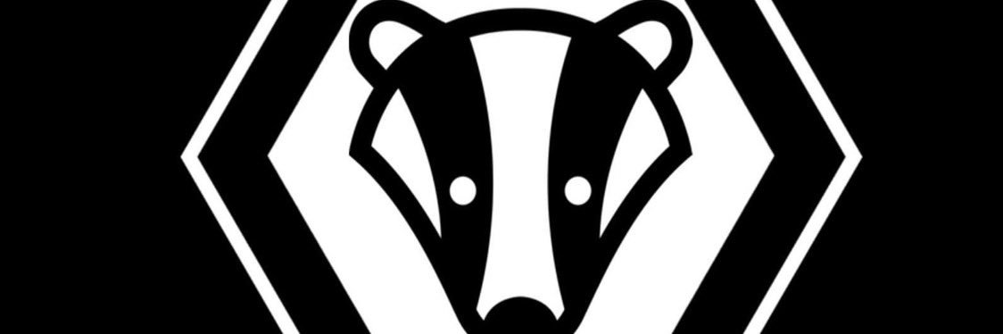 North Petherwin FC banner