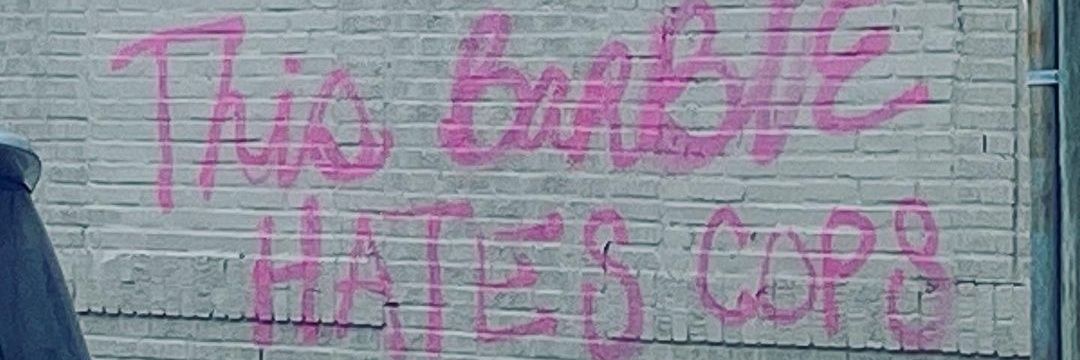 LuLaRoe V. Wade banner