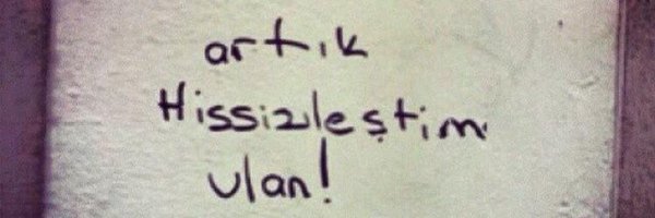 Bugcaoner Profile Banner