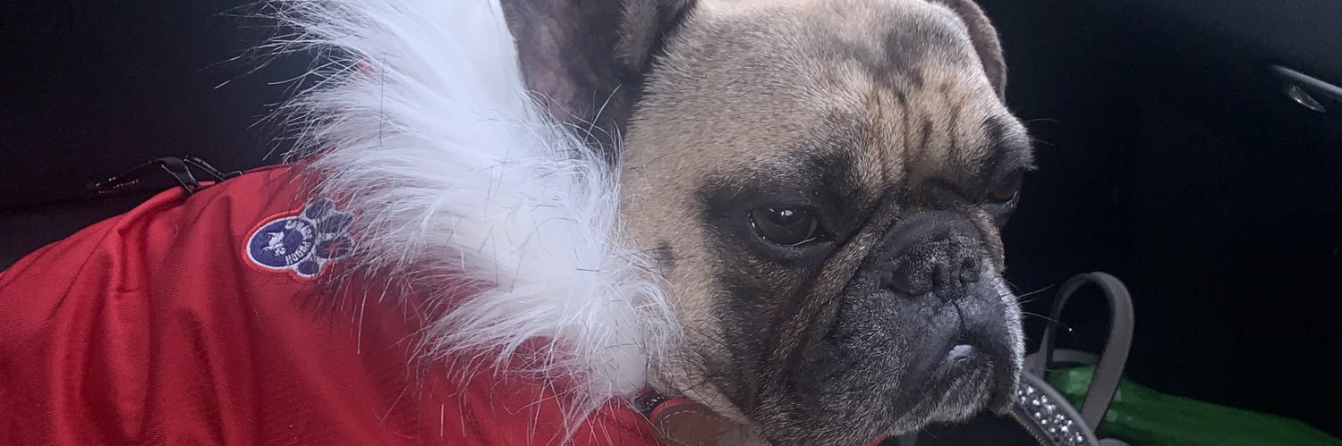LucyMercer33's profile banner image