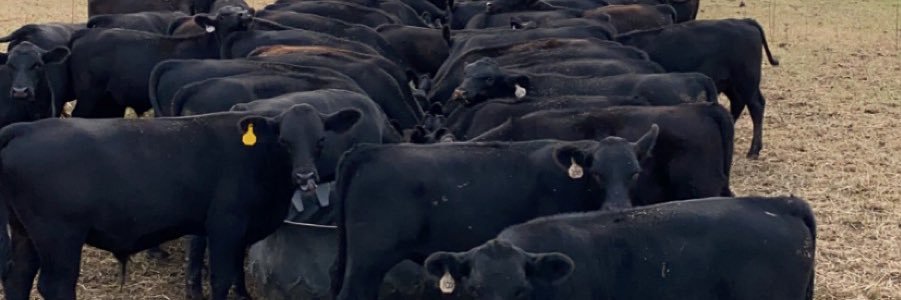 jharring21's profile banner image