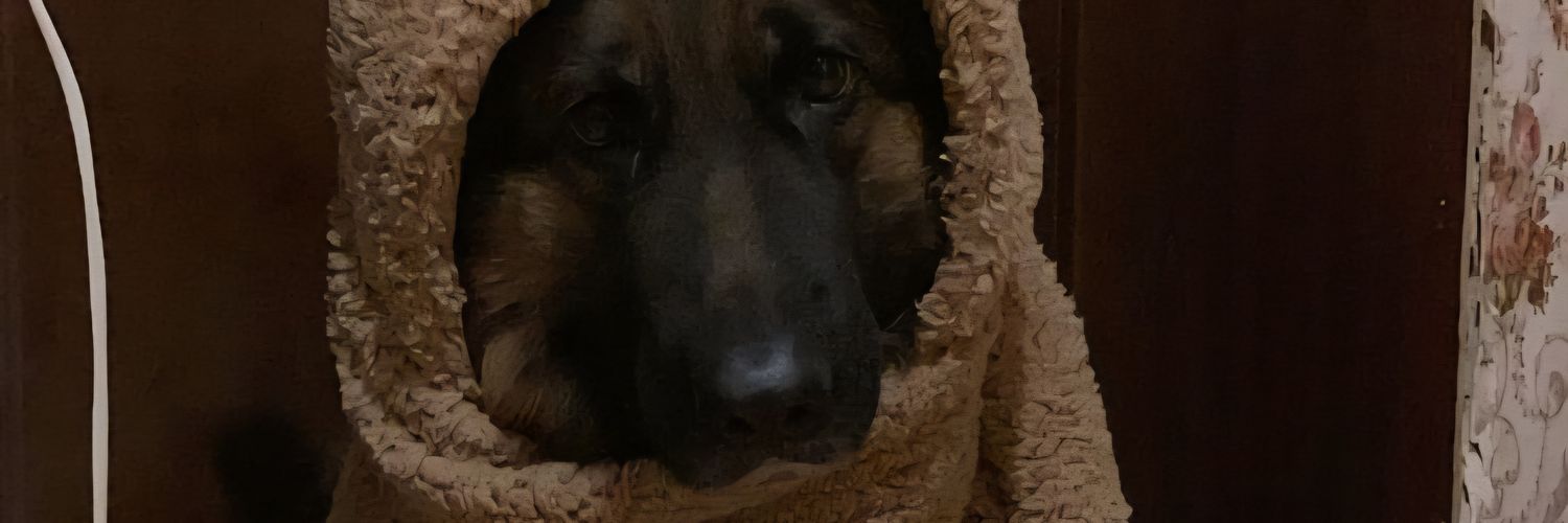 kalistapuf's profile banner image