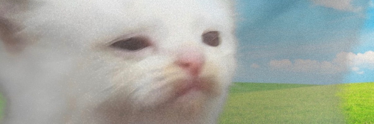 Andy Israel 𓉱 banner