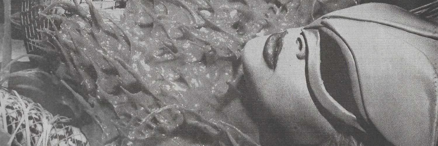 GagaXCollection's profile banner image