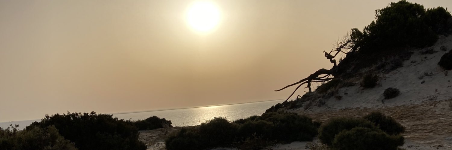 Ángel Manuel Mesa Díaz banner