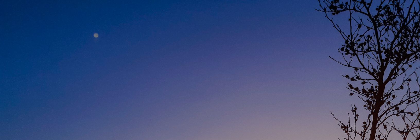 n。's banner