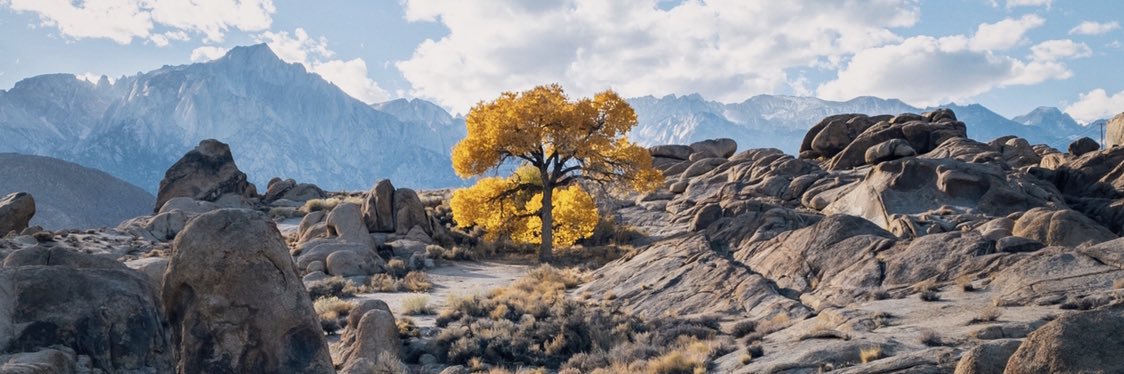 nelmur's profile banner image