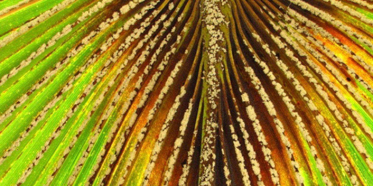 alaudrin's profile banner image