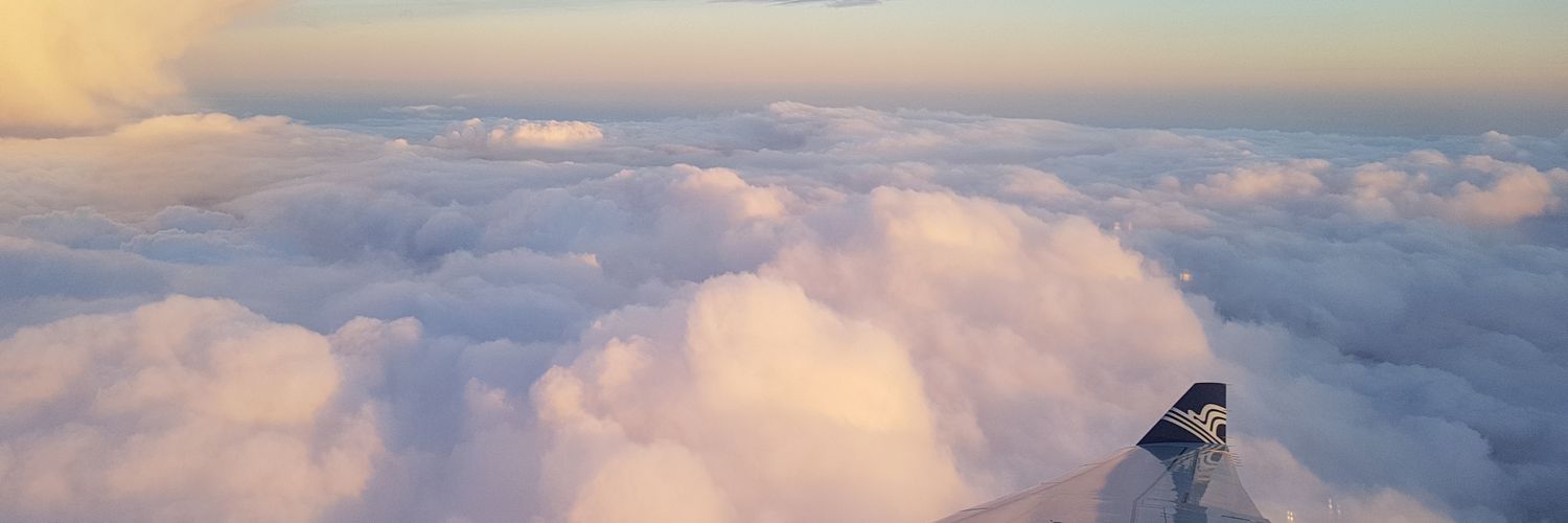Cora_Ely_'s profile banner image