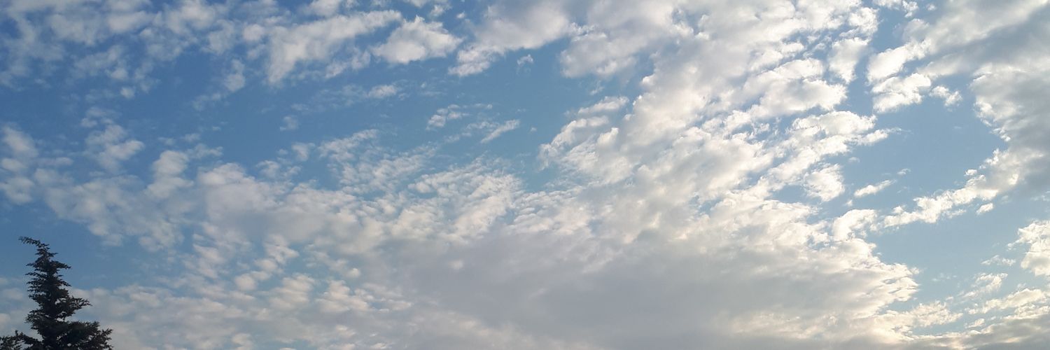 merFarukean1's profile banner image