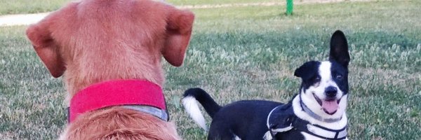 Martaky Profile Banner