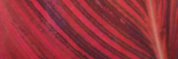 KateMPender Profile Banner