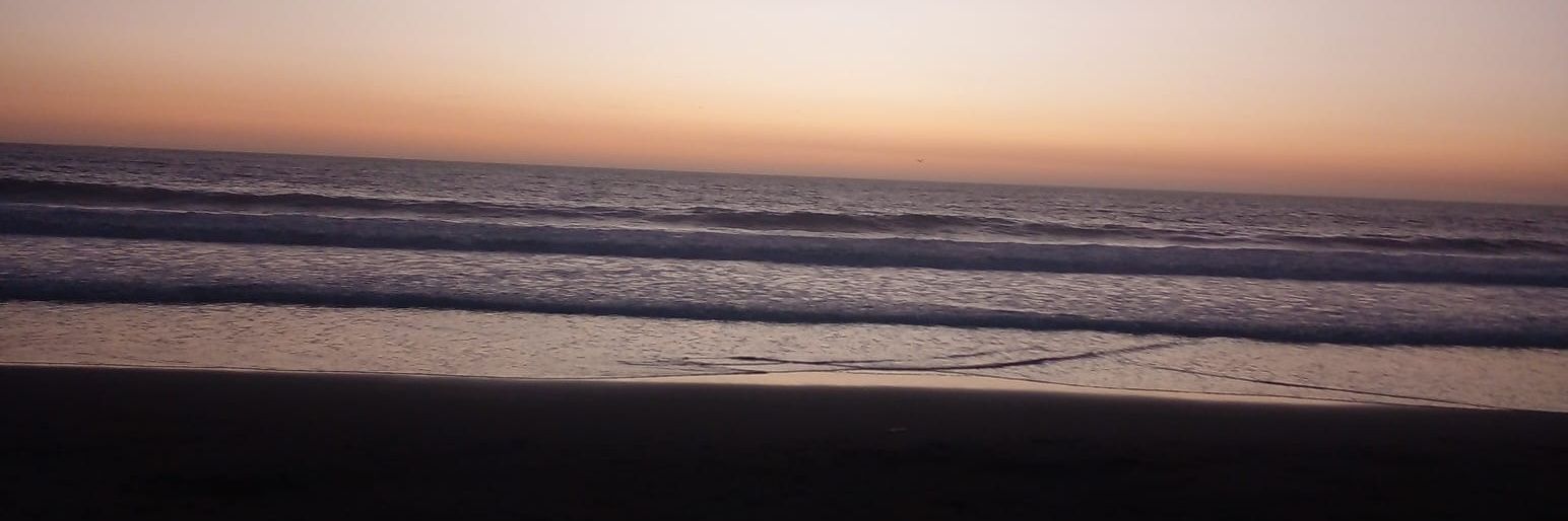 Fesg84's profile banner image