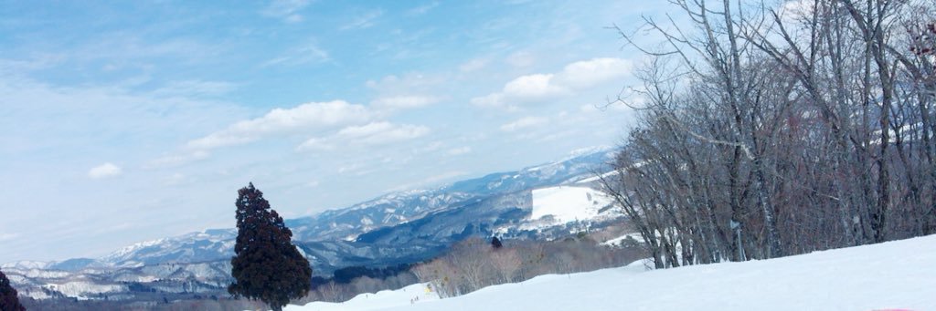 xrinqkittyx's profile banner image